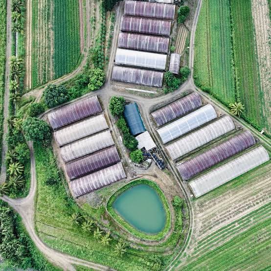 Agricultural Asset Inspection